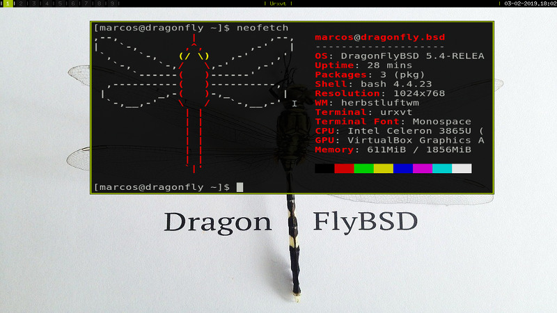 DragonFlyBSD + HerbstluftWM + Lemonbar