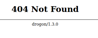 404 Drogon C++