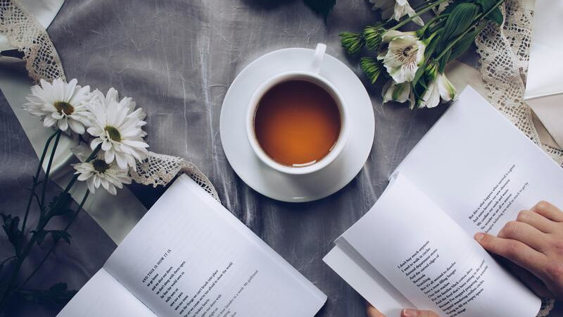 10 Livros de Programação Escritos por Brasileiros ou em Português